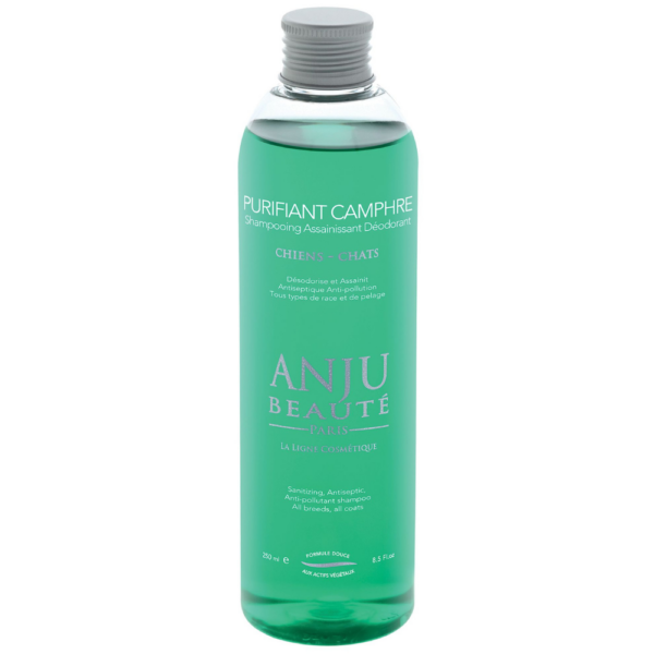Shampoing Purifiant Camphre