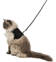 Harnais Soft XXL pour Chat