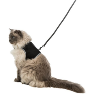 Harnais Soft XXL pour Chat