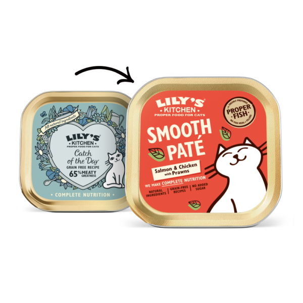 Pâtée pour Chat au Saumon