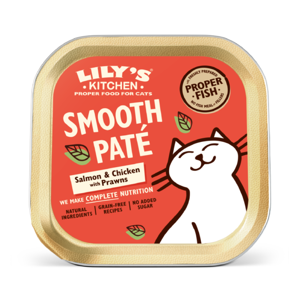 Pâtée pour Chat au Saumon