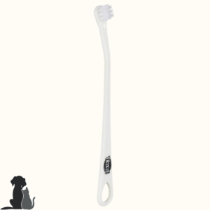 Set de 4 Brosses à dents