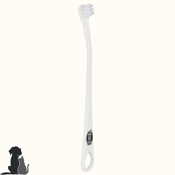 Set de 4 Brosses à dents
