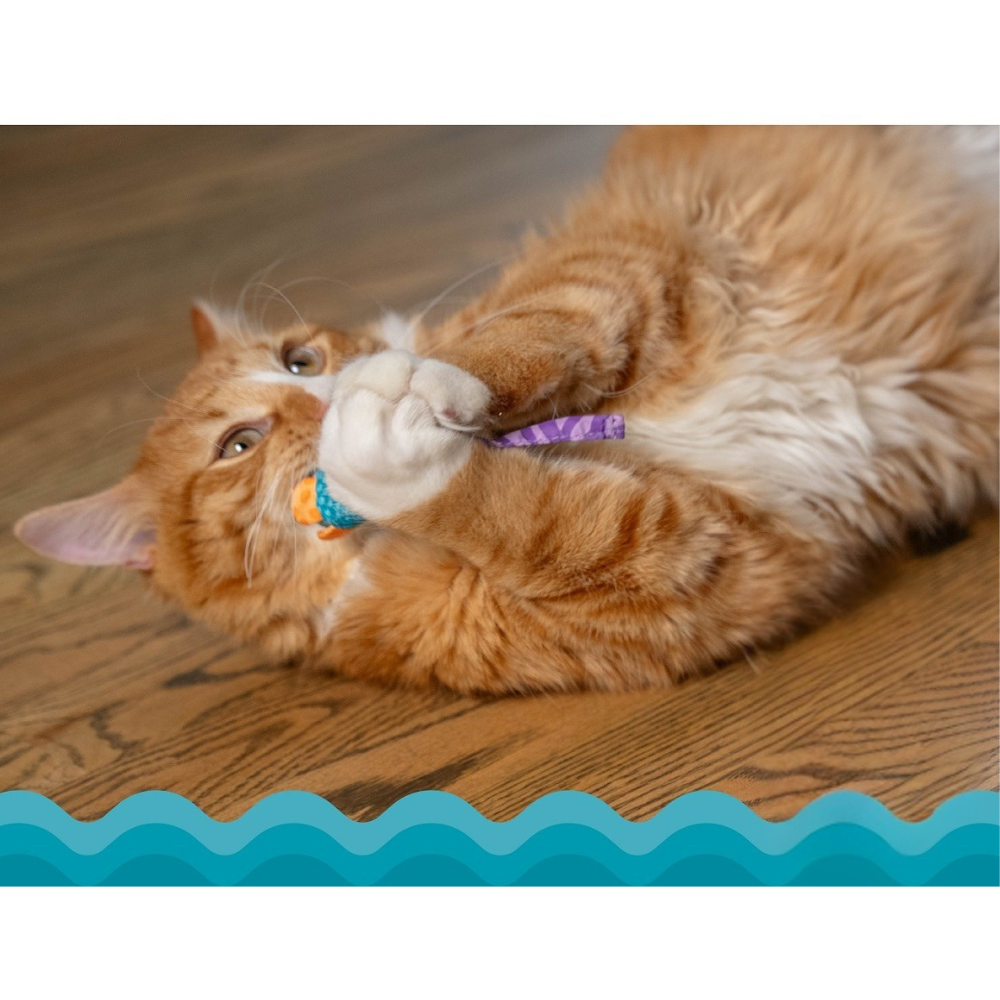 catnip-chew-mice-catstages-3 catnip-chew-mice-catstages