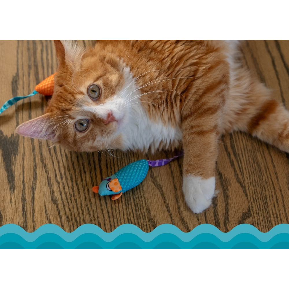 catnip-chew-mice-catstages-5 catnip-chew-mice-catstages