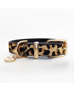 Collier en Cuir Beige Motif Léopard POUR CHIEN