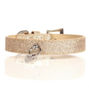 collier-pour-chien-stardust-or-pailleté