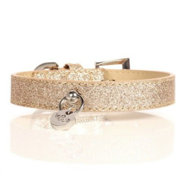 collier-pour-chien-stardust-or-pailleté