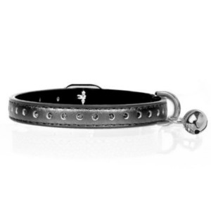 collier-vega-titane-pour-chat