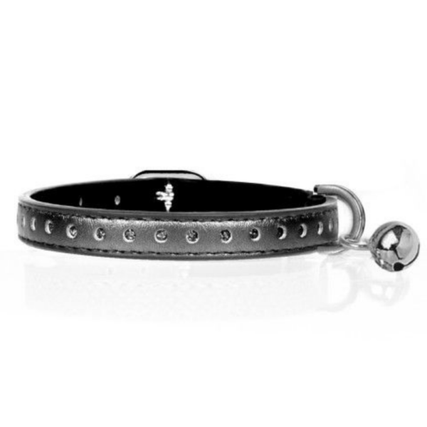 collier-vega-titane-pour-chat