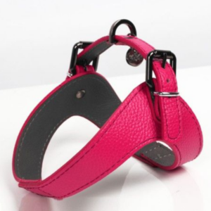 harnais-dandy-en-cuir-framboise-pour-chien