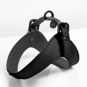 harnais-dandy-en-cuir-noir-pour-chien