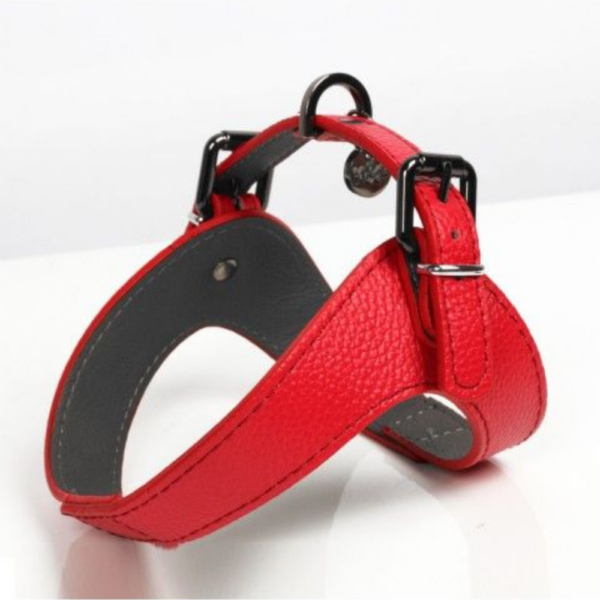 harnais-dandy-en-cuir-rouge-pour-chien