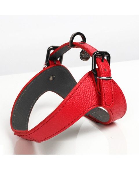 Comme Un Roi - Harnais Cuir So Trendy Rouge pour Chien