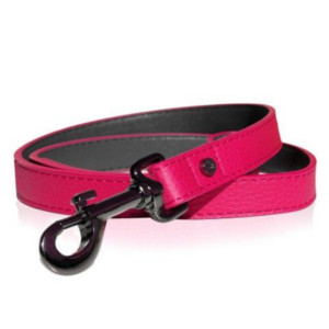 laisse-dandy-en-cuir-framboise-pour-chien