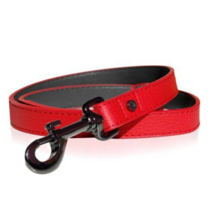 Laisse Dandy en Cuir Rouge | pour Chien