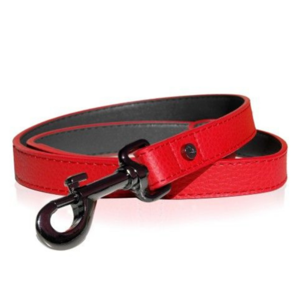 Laisse Dandy en Cuir Rouge | pour Chien