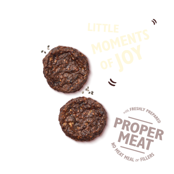 Mini Burgers au boeuf