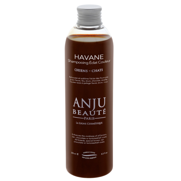 shampoing havane pour chiens et chats
