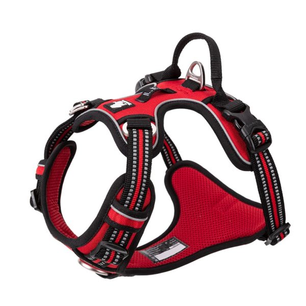 HARNAIS TRUELOVE COUNTRY+ ROUGE POUR CHIEN