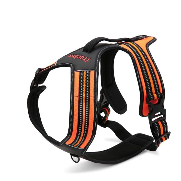 HARNAIS TRUELOVE FOREST ORANGE POUR CHIEN