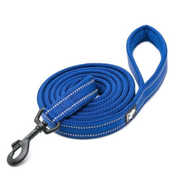 LAISSE TRUELOVE BLEUE