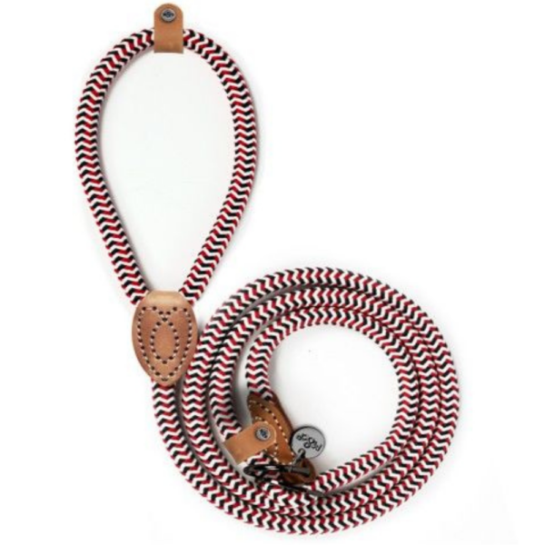 Laisse Lasso Yacht pour Chien