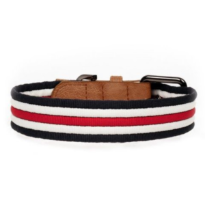 collier-pour-chien-heritage