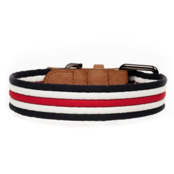 collier-pour-chien-heritage