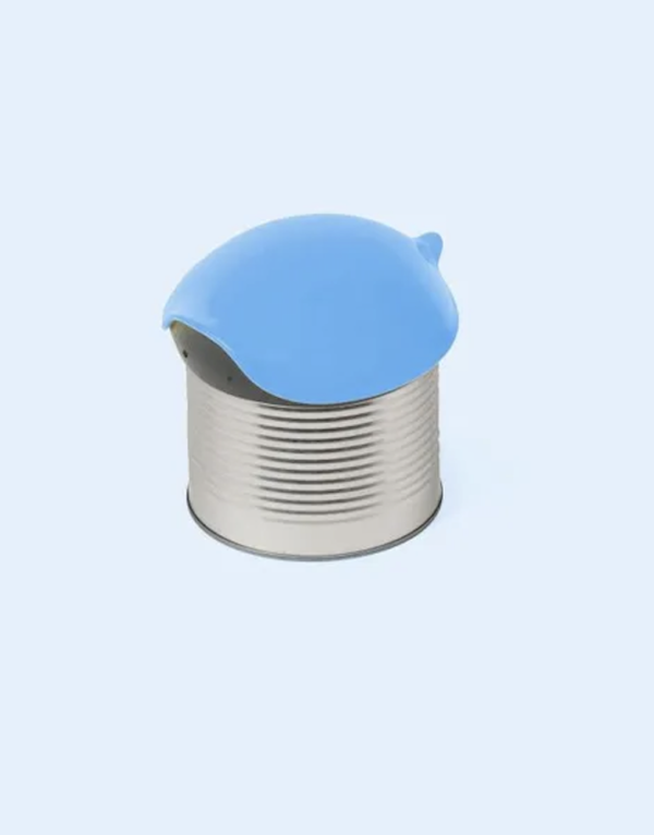 COUVERCLE POUR BOÎTE EN FORME DE TORTUE BLEU