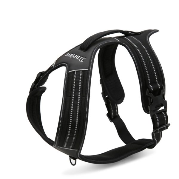HARNAIS TRUELOVE FOREST NOIR POUR CHIEN