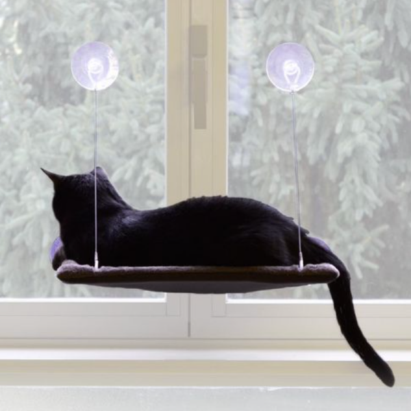 hamac-de-fenetre-pour-chat-cat-view