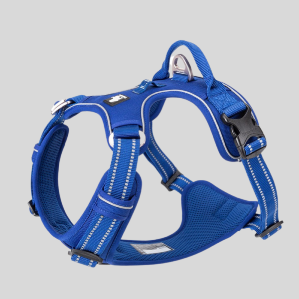 harnais-anti-traction-bleu-pour-chien-country-truelove