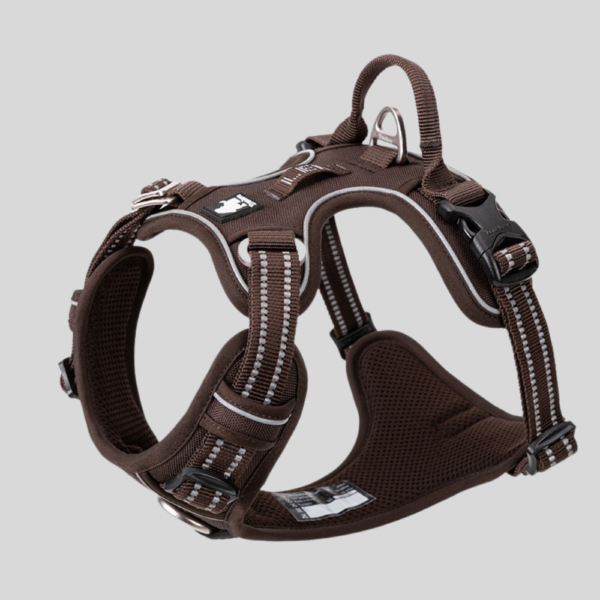 harnais-anti-traction-marron-pour-chien-country+-truelove