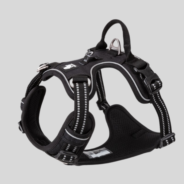 harnais-anti-traction-noir-pour-chien-country+-truelove