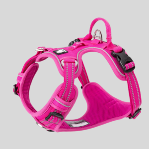 harnais-anti-traction-rose-pour-chien-country