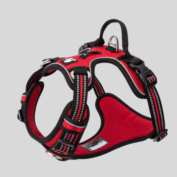 harnais-anti-traction-rouge-pour-chien-country-truelove
