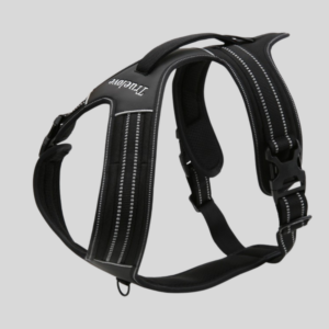 harnais-pour-chien-forest-noir-anti-traction