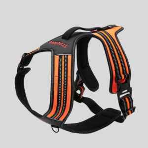 harnais-pour-chien-forest-orange-anti-traction