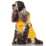 imperméable-chien-babord-jaune-milk-and-pepper