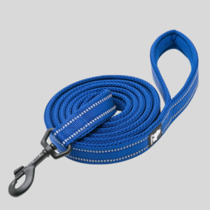 laisse-pour-chien-walk-bleue-truelove