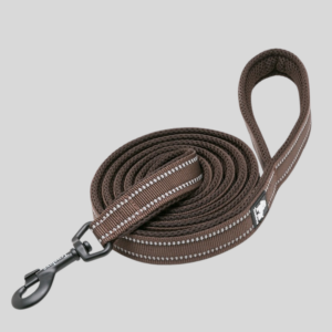 laisse-pour-chien-walk-marron-truelove