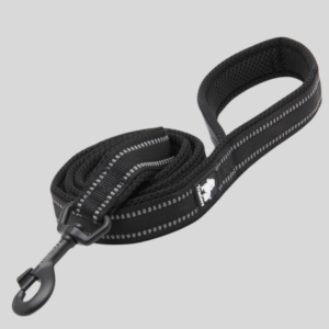 laisse-pour-chien-walk-noire-truelove