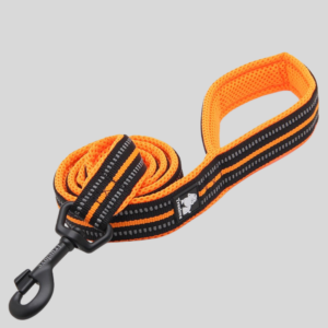 laisse-pour-chien-walk-orange-truelove