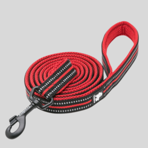 laisse-pour-chien-walk-rouge-truelove