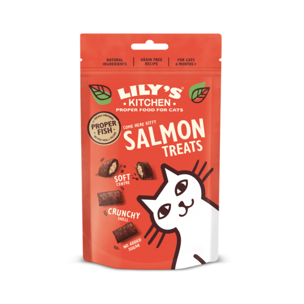 Friandises pour Chat au Saumon