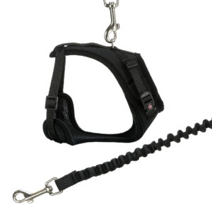 Harnais Maille en Y pour Chat