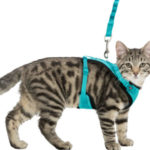 Harnais Maille en Y pour Chat