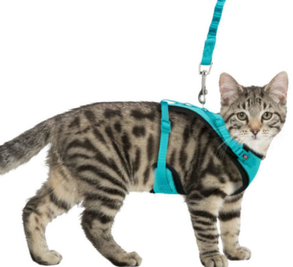 Harnais Maille en Y pour Chat