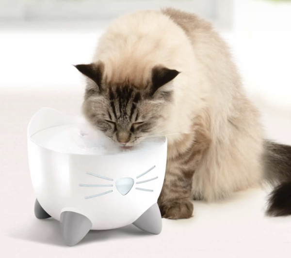 Fontaine à eau pour Chat Pixi